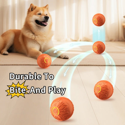 Interactive Motion-Activated Smart Ball for Dogs